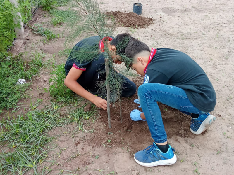 Comenzó la etapa de reforestación en la Escuela Secundaria de Formación en Automatización Industrial y Robótica