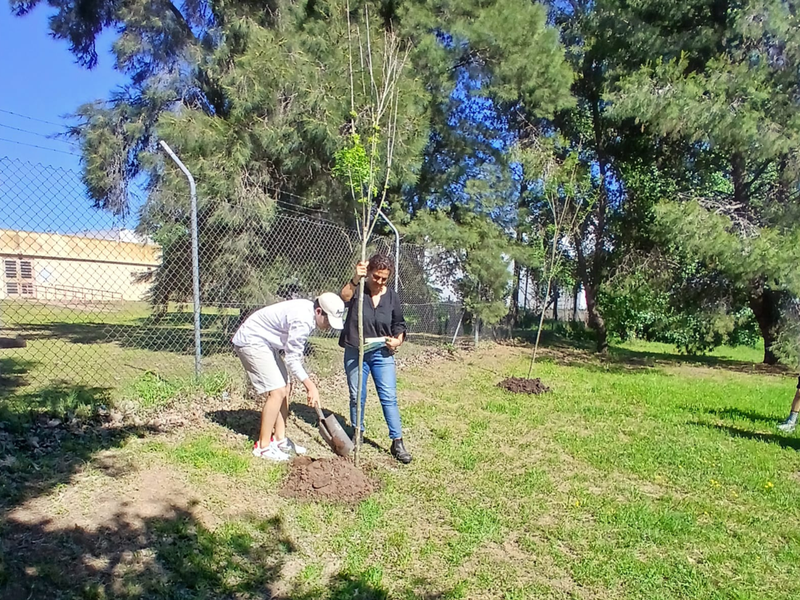 Se llevó a cabo una plantación de árboles en homenaje a docentes jubilados