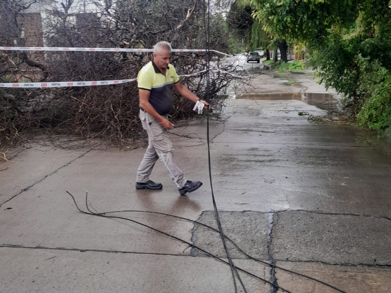 Vía pública: La municipalidad trabaja para restablecer la normalidad luego de la tormenta