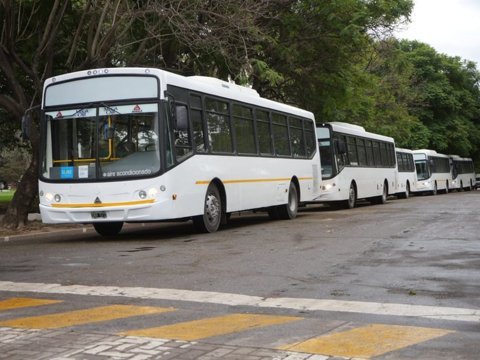 Nuevos horarios del Transporte Urbano de Pasajeros durante el mes de enero