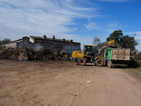 El municipio limpió un amplio espacio verde colmado de basura en barrio Las Playas