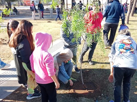 Día del Ambiente: vecinos participaron de una jornada barrial de forestación