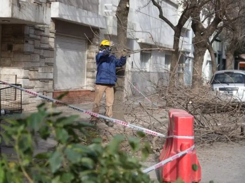 El municipio alerta sobre la presencia de falsos podadores en la ciudad
