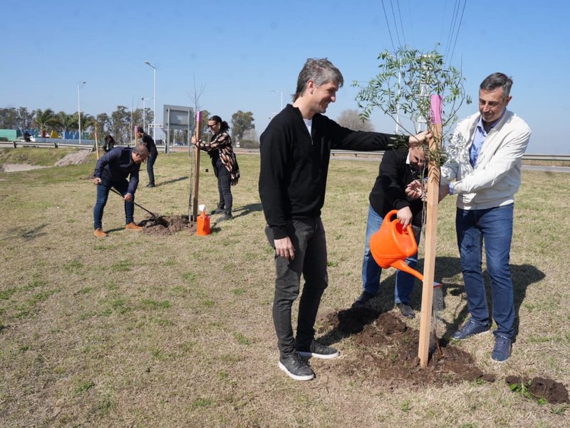 Espacios verdes: en la semana se plantaron más de 350 árboles