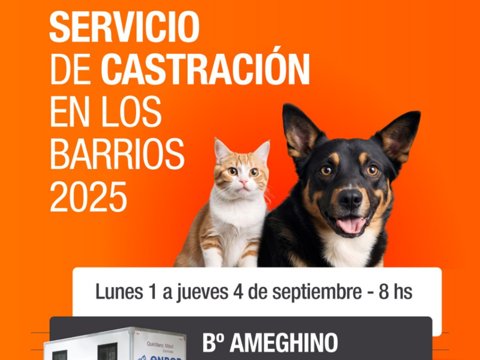 Continúa la campaña gratuita de castración en los barrios