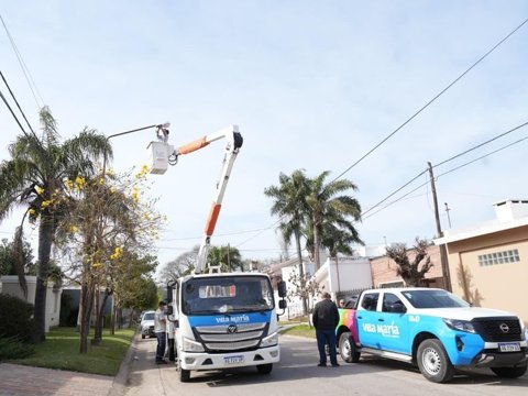 El municipio llevará a cabo el despeje de luminarias y cámaras de seguridad en el sector céntrico