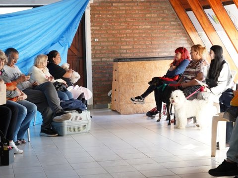 Se castraron más de 90 mascotas durante la última semana