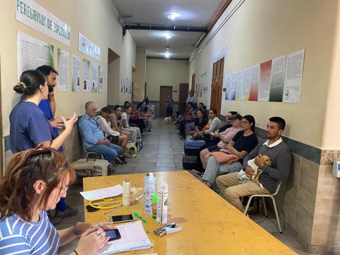 Campaña descentralizada: se castraron más de 80 mascotas en la última semana