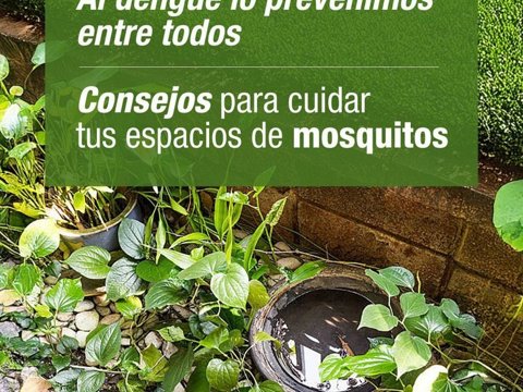 El municipio recomienda a los vecinos las acciones de prevención contra el Dengue