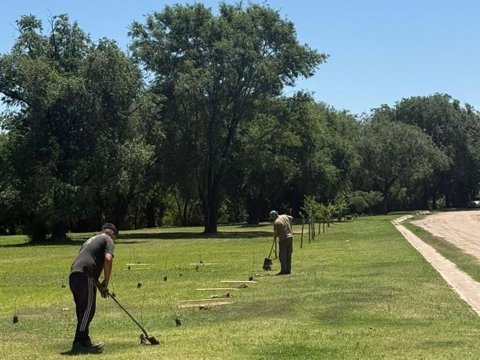 El municipio plantó más de 1.350 árboles en los últimos 60 días