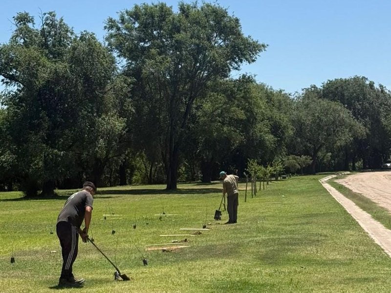 El municipio plantó más de 1.350 árboles en los últimos 60 días