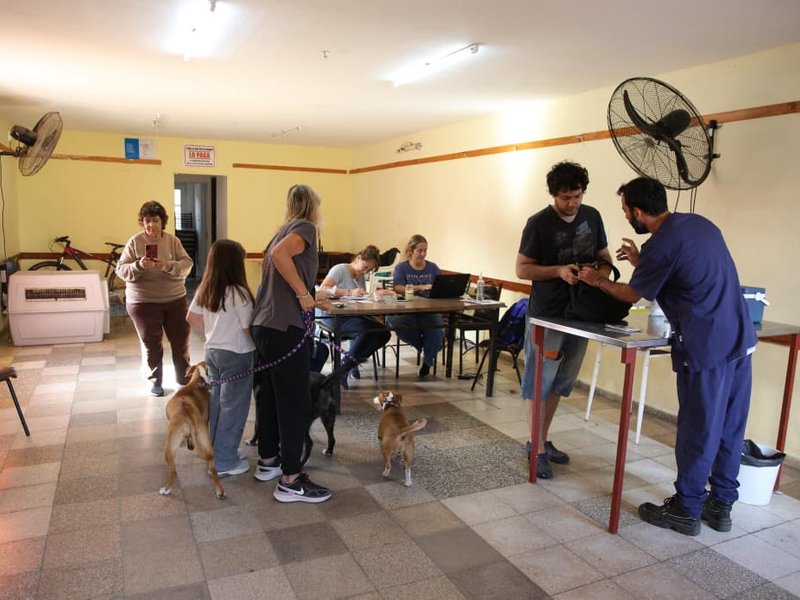 Continúa la campaña de Vacunación Antirrábica: ya son más de 1.200 las mascotas inoculadas en los MuniCerca