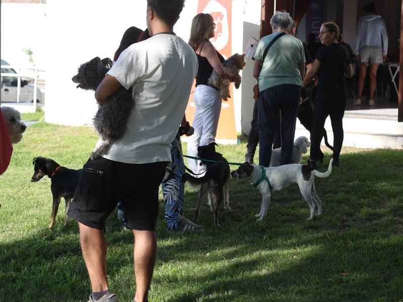 En la semana se colocaron casi 500 vacunas antirrábicas en el marco de la campaña gratuita que lleva adelante el municipio