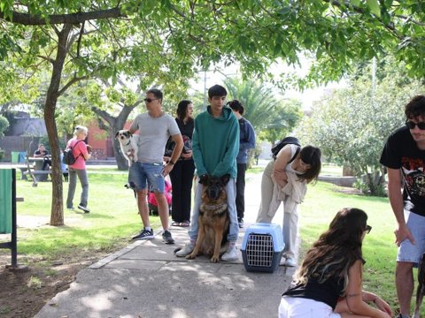 Más de 1.000 mascotas recibieron su vacuna anual contra la rabia en lo que va de marzo
