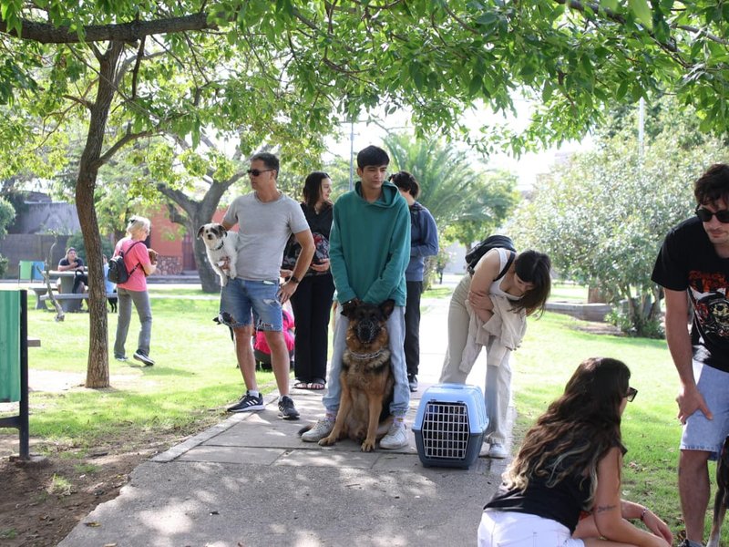 Más de 1.000 mascotas recibieron su vacuna anual contra la rabia en lo que va de marzo