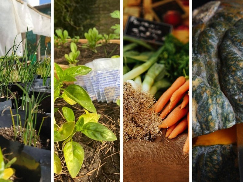 Abrieron las inscripciones para la entrega de kits de semillas de la temporada otoño-invierno