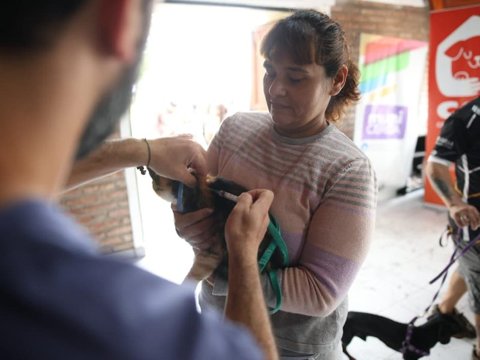 Ayer se colocaron más de 300 vacunas antirrábicas a mascotas en el MuniCerca 2