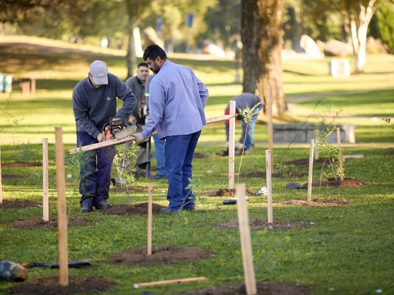 Villa María Más Amigable: el Municipio invita a participar de la jornada "Plantamos Futuro" en barrio Vista Verde