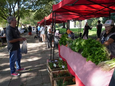 Se realizó una nueva edición de la Feria Franca en Plaza Independencia