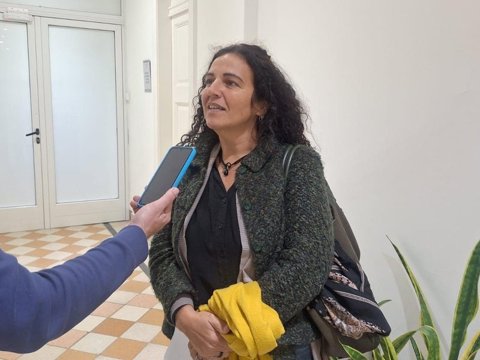 Comenzó la temporada habilitada para realizar tareas de poda de árboles