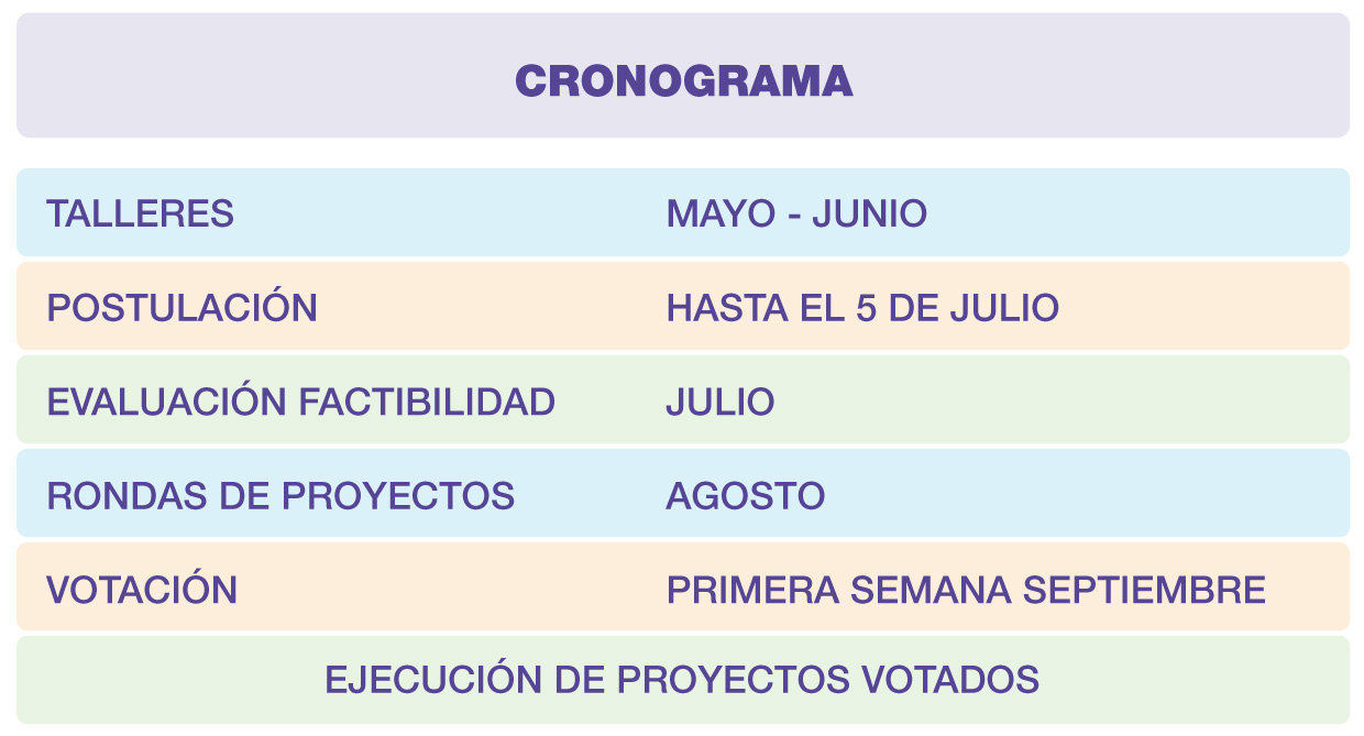 Cronograma VM Piensa y Propone