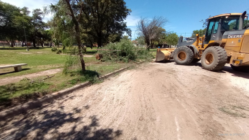 Villa María: La Municipalidad realiza tareas de limpieza y mantenimiento por caída de árboles y ramas