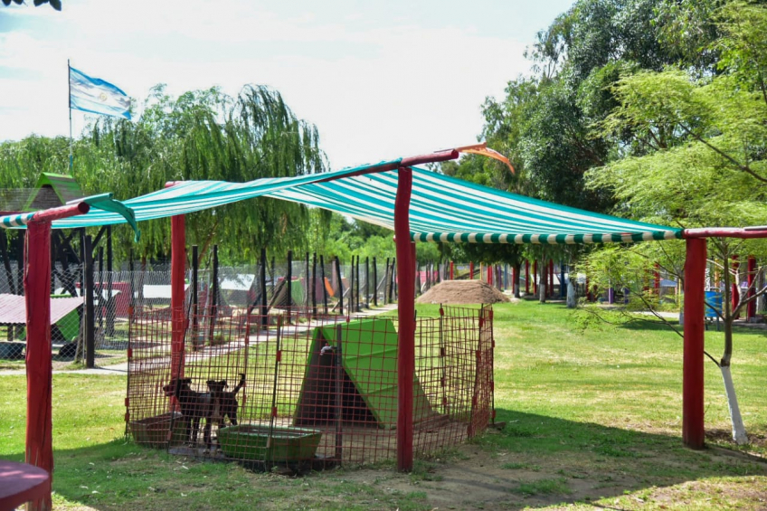 Villa María: Durante mayo, el CAM realizó más de 500 castraciones y 22 mascotas encontraron un nuevo hogar