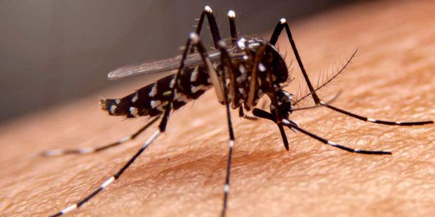 Villa María: El municipio promueve medidas para la erradicación domiciliaria de criaderos de mosquitos