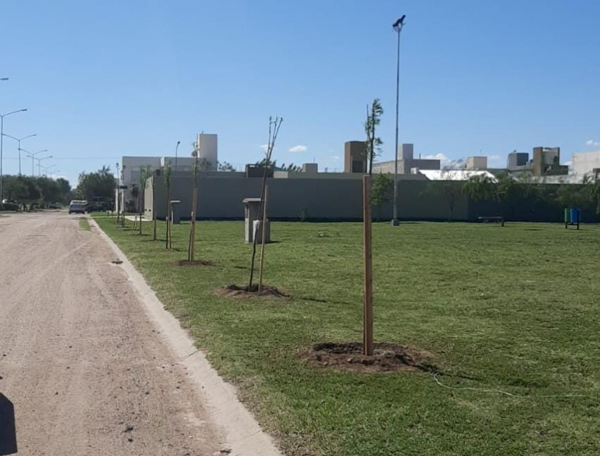 Villa María: El plan de forestación llegó a barrio Ramón Carillo con la plantación de casi un centenar de árboles nativos