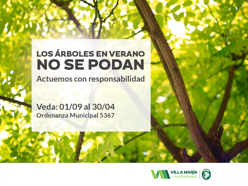 Villa María: Recuerdan que rige el período de veda para la poda de árboles