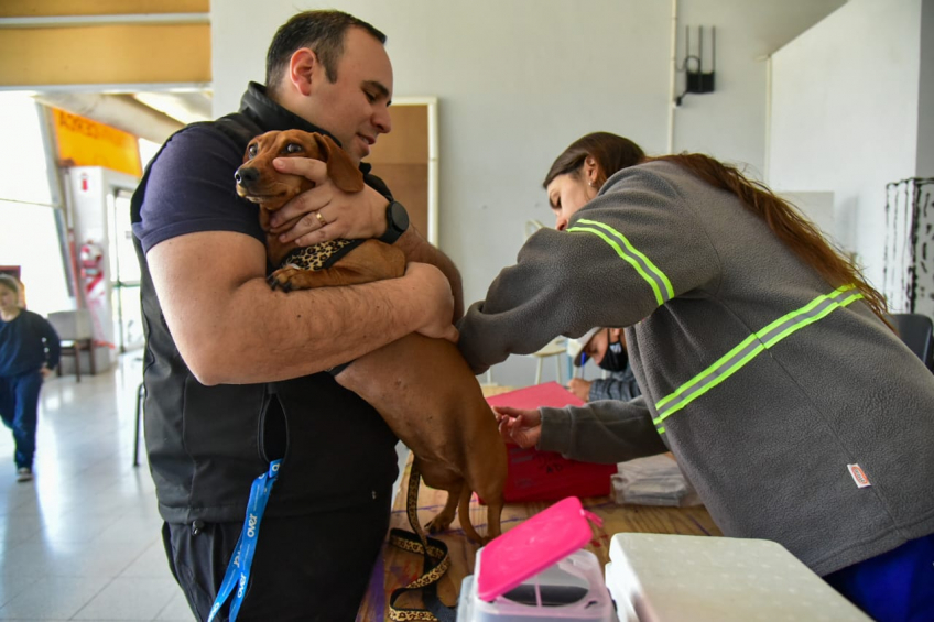 Villa María: El CAM inicia una nueva Campaña de Vacunación Antirrábica en los barrios para la prevención y cuidado de las mascotas